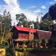 Turtle Pond Home Stay