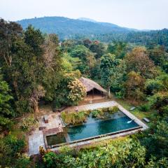 Dudhsagar Plantation