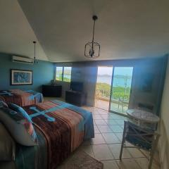 ELIMAR BAY VIEW APT with INFINITY POOL AVAILABLE