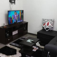 Apartamento amoblado Central 148