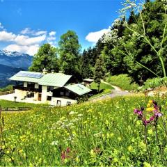 5 Bergpanorama und herrliche alpinen Almlandschaft Nichtraucherdomizil
