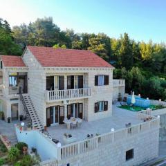 Apartment Villa Andro