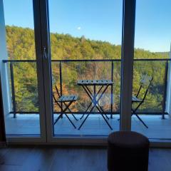 Goga Apartmani