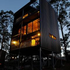 Gold Coast Tree Houses