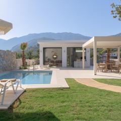 pelagias villa lefka with heated pool