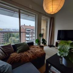 Spacious and cozy study apartment with balcony