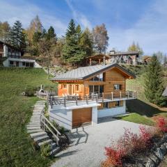 Chalet Amerhone - Luxury chalet With Jacuzzi