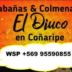 CABAÑAS EL DIUCO EN COÑARIPE 6