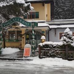 Hotel Voglauerhof