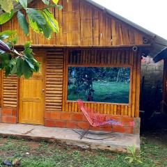 Cabañas orquídea