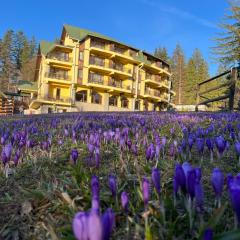 Hotel OHMA - Casa Viorel