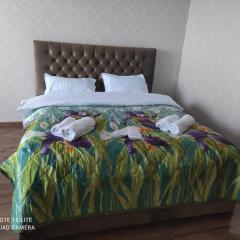 Rustavi guest house