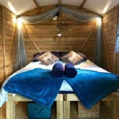 Woodland Glamping Cabin