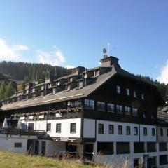 马西乌斯阿尔卑斯酒店