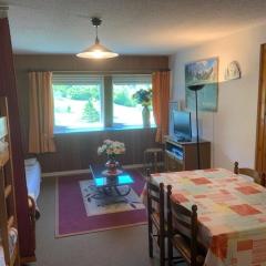 Appartement Mont-Dore, 2 pièces, 6 personnes - FR-1-415-115