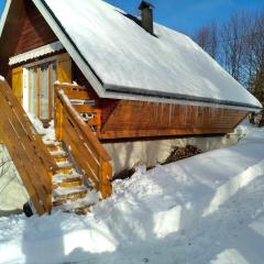 Chalet de 2 chambres avec jardin amenage et wifi a Autrans Meaudre en Vercors