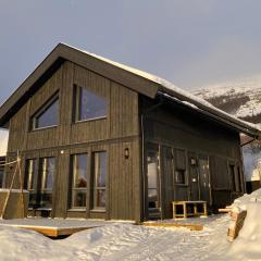 Vangslia, Oppdal. Lekker leilighet med ski inn/ski ut