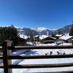 Magnifique Ski in/out, cosy and calm, 4 bedrooms