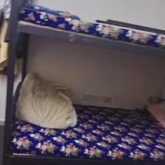 dormitory bed space for male and female