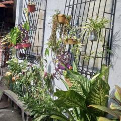 The Plant House in Iloilo City 12Pax