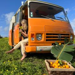 Rent a BlueClassics 's Campervan combi J9 en Algarve au Portugal