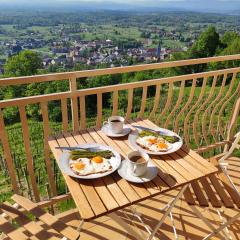 Zidanica-Vineyard Cottage Jakše