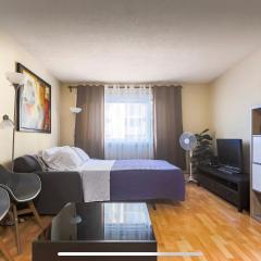 Downtown River Valley Bachelor Suite Condo, NON Smoking, 12 inches Queen Bed, Beautiful Minimalist, very convenient every where
