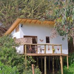 Cabaña Kuyen isla negra