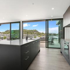 Enfield Sky - Brand New Luxury Penthouse