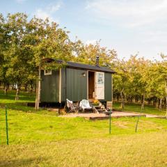 Harrys Hideout - Shepherd's Huts at Harrys Cottages