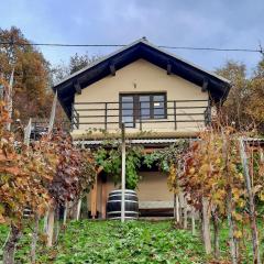 Vineyard cottage Kulovec