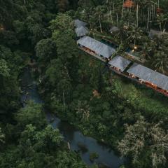 Bedulu Cliff Estate Ubud - Tree Top