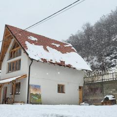 Antić apartmani Stara planina