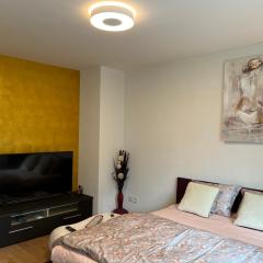 1.5 studio room fully furnished @ Langnau am Albis