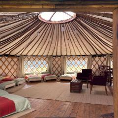 Redwood - the BIG yurt