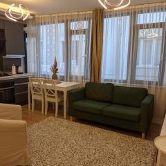 Modern Apartment in the Heart of the City - Fatih