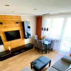 Apartament Glamour Work&Relax, obok ARENY Gliwice, FV