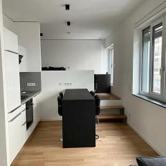 Modern Apartment in the center of Munich
