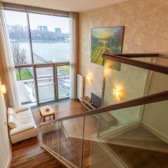 Luxury with Danube river view