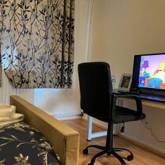 Park View Serviced Apartment - Next to Northolt Tube Station - Near Central London & Wembley