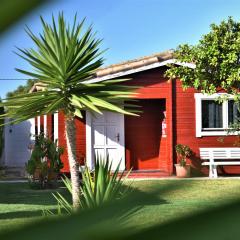 Kontiki Bungalows El Palmar