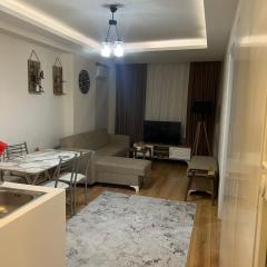 Full furnished Stylish Flat in Istanbul