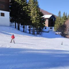 Sulle piste da sci