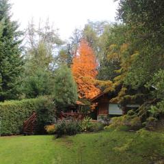 Casa en el bosque de Puerto Manzano