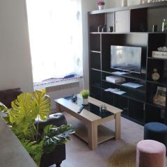 Disney Appartement