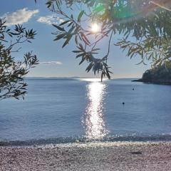 Robinson accommodation and camping spots "Maslina"- cove Skozanje, island Hvar