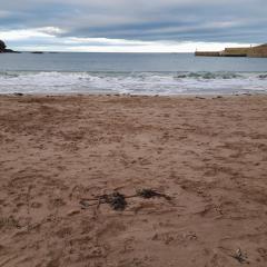 Charming Eyemouth apartment close the beach