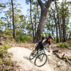 St Helens Mountain Bike Base