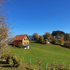 Ferienhaus Lärchenhütte