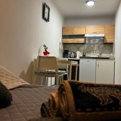 Studio apartman Rijeka